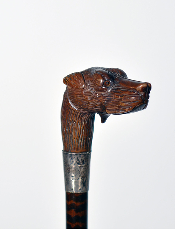 bastone testa cane